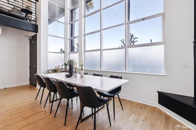 dining room with light hardwood / wood-style floors