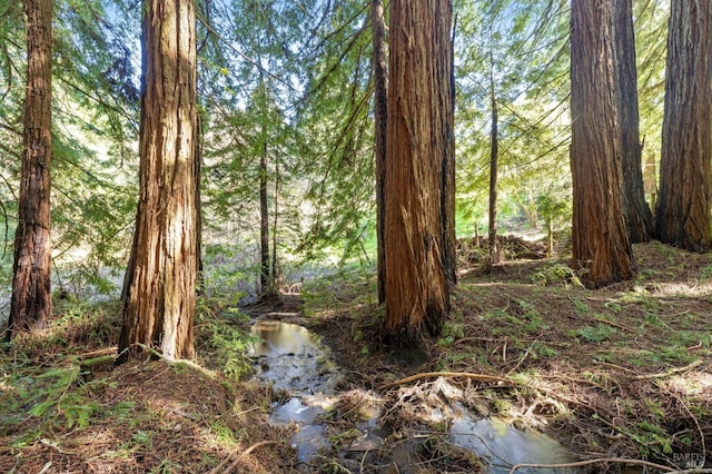 view of landscape with a forest view