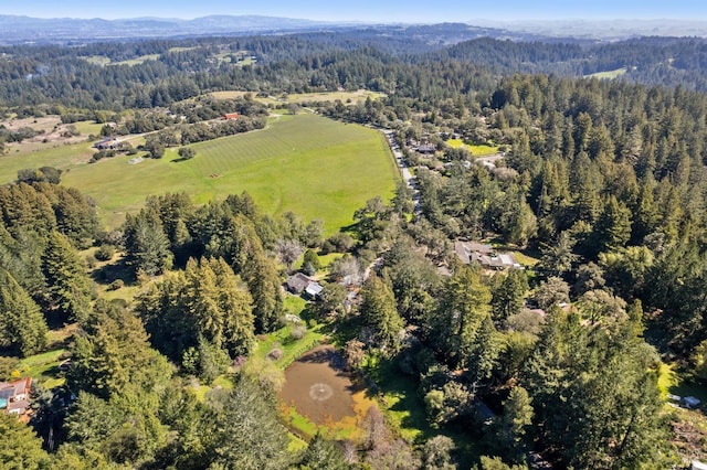 drone / aerial view featuring a forest view and a mountain view