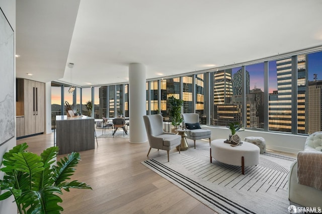 interior space featuring light hardwood / wood-style flooring, floor to ceiling windows, and plenty of natural light