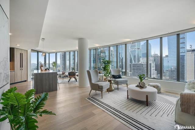 338 Main St Unit 35E, San Francisco, CA 94105 - interior space with a city view and light wood finished floors