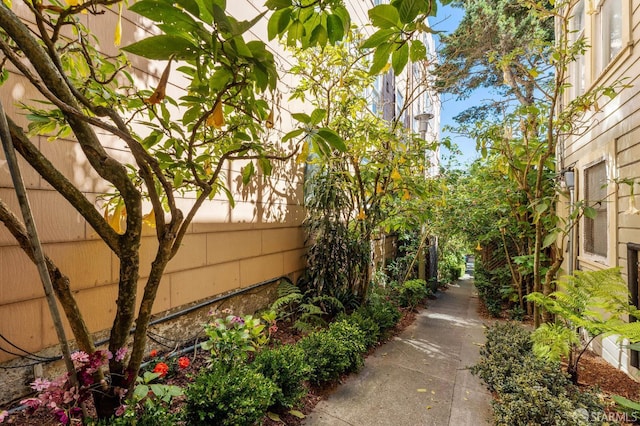 1375 Sacramento St, San Francisco, CA 94109 - view of yard