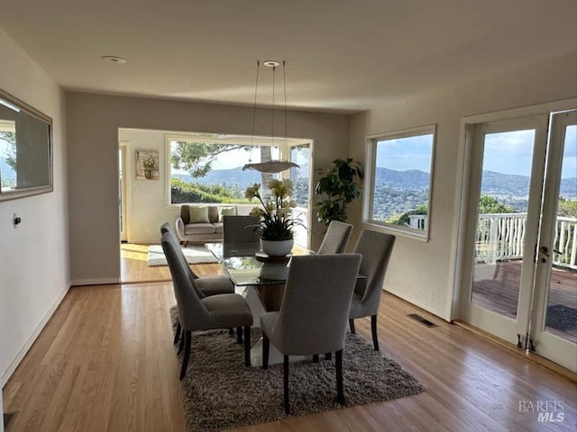 dining room featuring a mountain view, a wealth of natural light, and light wood-type flooring