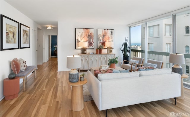 living room featuring wood finished floors