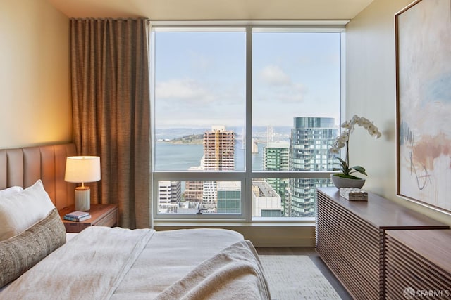 bedroom featuring light wood-type flooring, a city view, and a water view