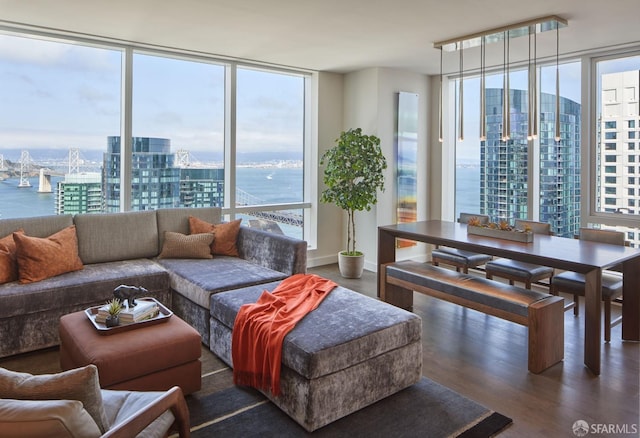 living area featuring a wealth of natural light, a view of city, and a wall of windows