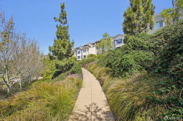 176 Summit Way, San Francisco, CA 94132 - view of home's community