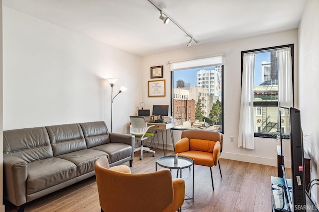 living room featuring light hardwood / wood-style floors and rail lighting