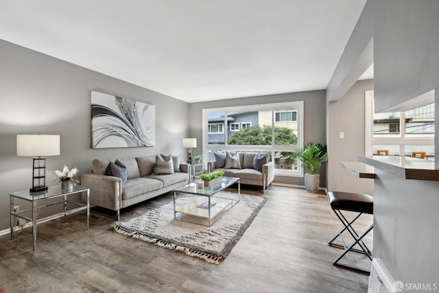 living room with hardwood / wood-style floors