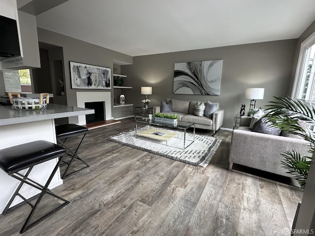 living room featuring wood-type flooring and built in features