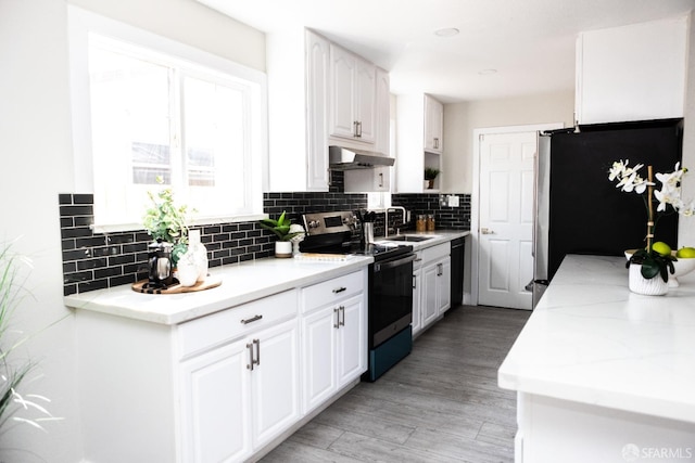 28290 Thackeray Ave, Hayward, CA 94544 - kitchen with range with electric cooktop, a sink, under cabinet range hood, freestanding refrigerator, and backsplash