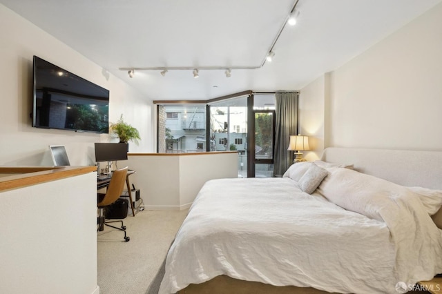 bedroom with rail lighting and light carpet