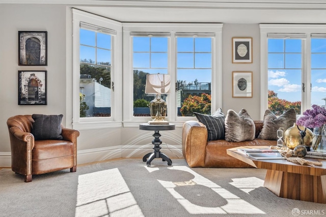 568 Belvedere St, San Francisco, CA 94117 - living area with carpet flooring and baseboards