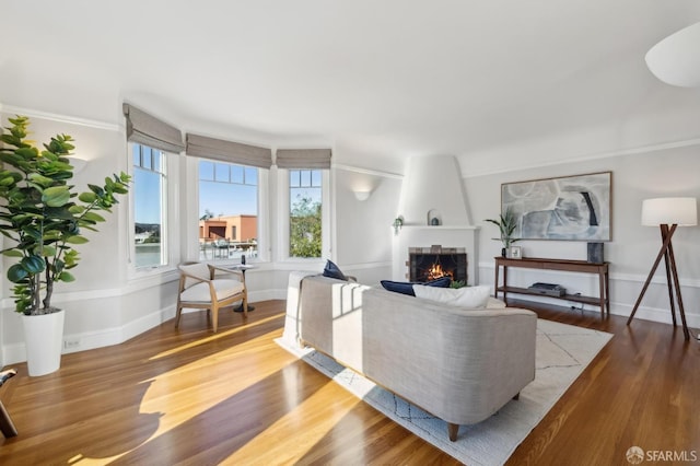 living room with a large fireplace and hardwood / wood-style flooring