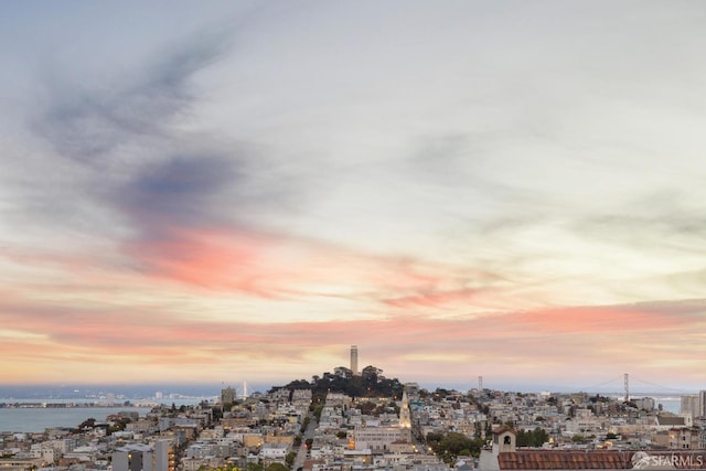 1123 Greenwich St, San Francisco, CA 94109 - view of city featuring a nearby body of water
