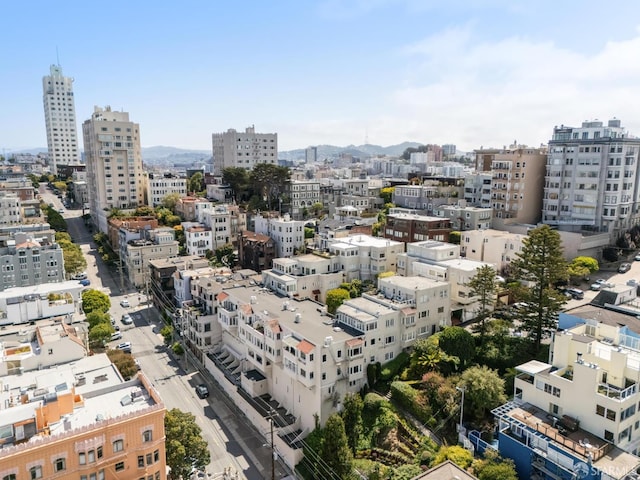 1123 Greenwich St, San Francisco, CA 94109 - view of city