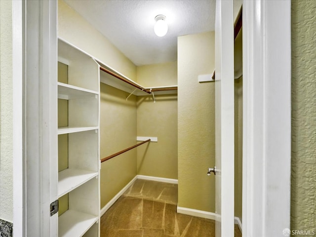 605 Canyon Oaks Dr Unit B, Oakland, CA 94605 - walk in closet with carpet flooring
