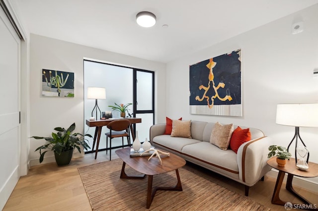 living room featuring light hardwood / wood-style flooring