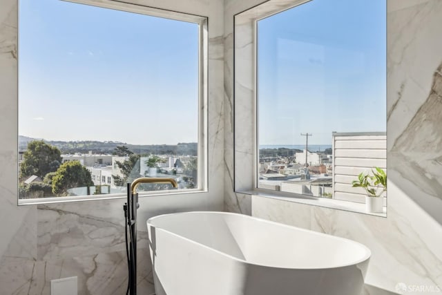 bathroom with a freestanding bath and a healthy amount of sunlight