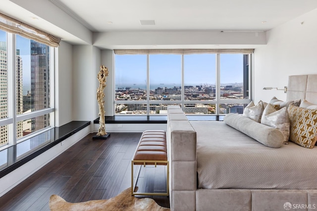 living room featuring a healthy amount of sunlight and dark hardwood / wood-style flooring