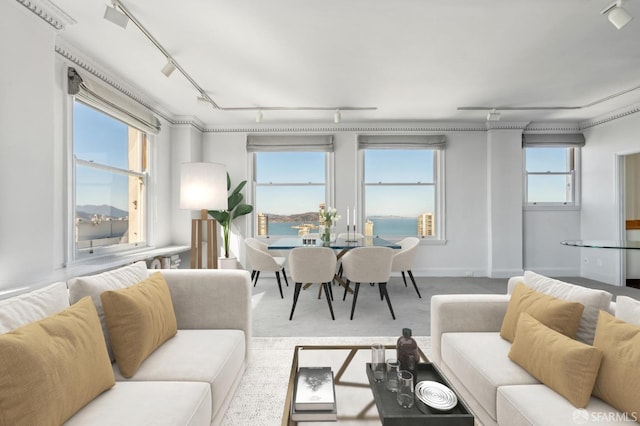 living room with plenty of natural light, a water view, and carpet