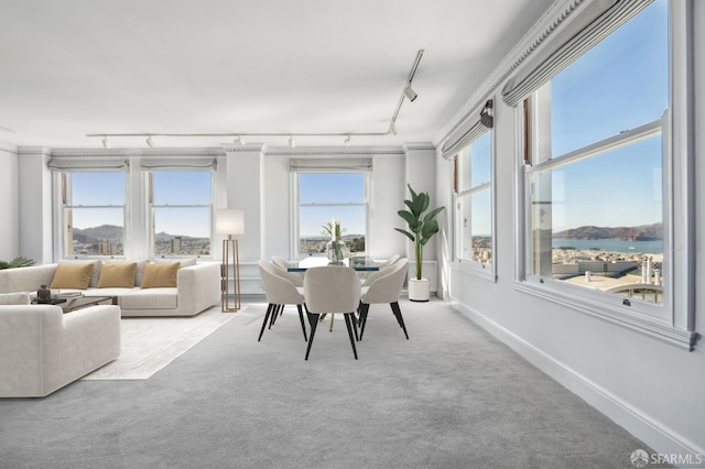 sunroom with a healthy amount of sunlight