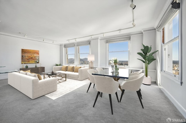 interior space with crown molding, rail lighting, and a wealth of natural light