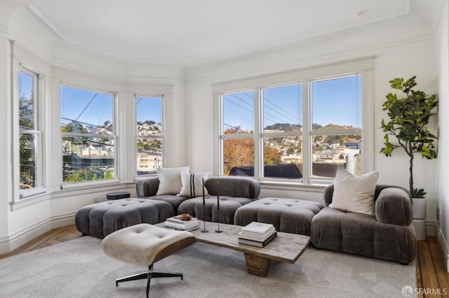 living room with hardwood / wood-style floors and a wealth of natural light