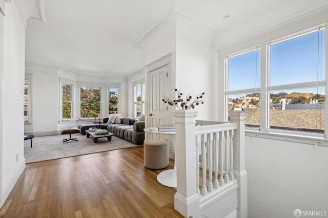 living room with hardwood / wood-style floors