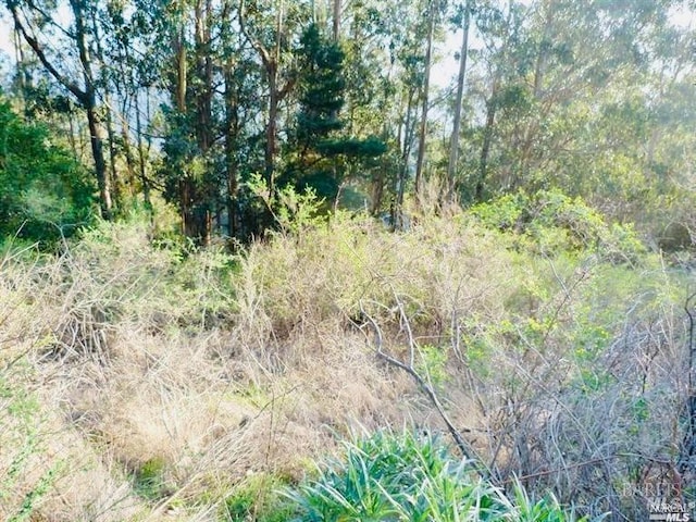 1245 Shoreline Hwy, Mill Valley CA, 94941 land for sale