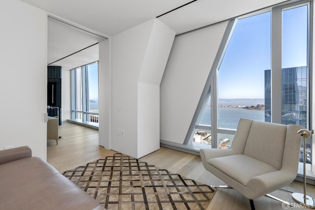 181 Fremont St Unit 58A, San Francisco, CA 94105 - living area featuring a water view, plenty of natural light, wood finished floors, and floor to ceiling windows