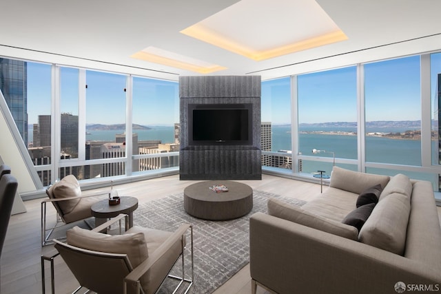 living room featuring light hardwood / wood-style floors, a raised ceiling, and expansive windows