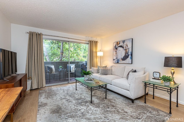 living room featuring hardwood / wood-style flooring and a textured ceiling