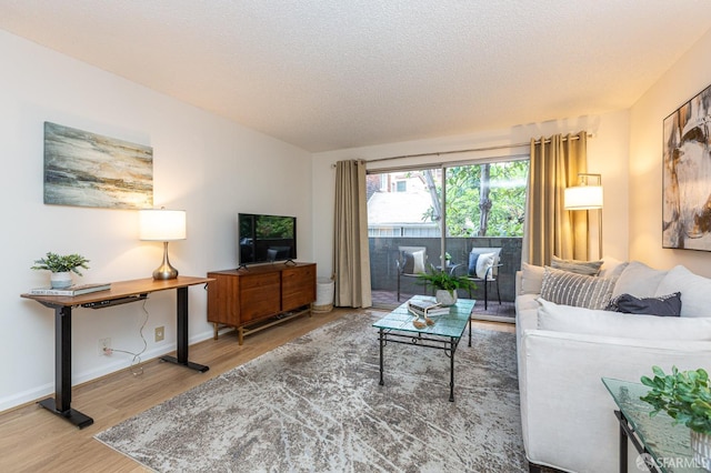 living room with hardwood / wood-style flooring and a textured ceiling