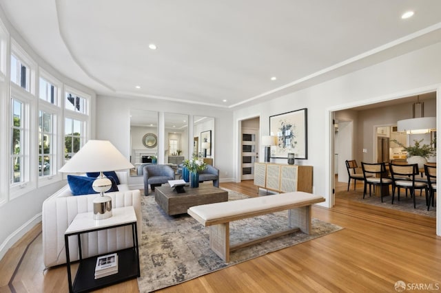 living room featuring light wood-type flooring