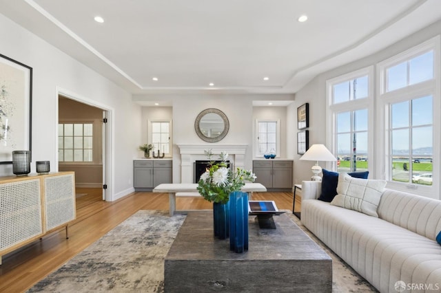 living room featuring light hardwood / wood-style flooring