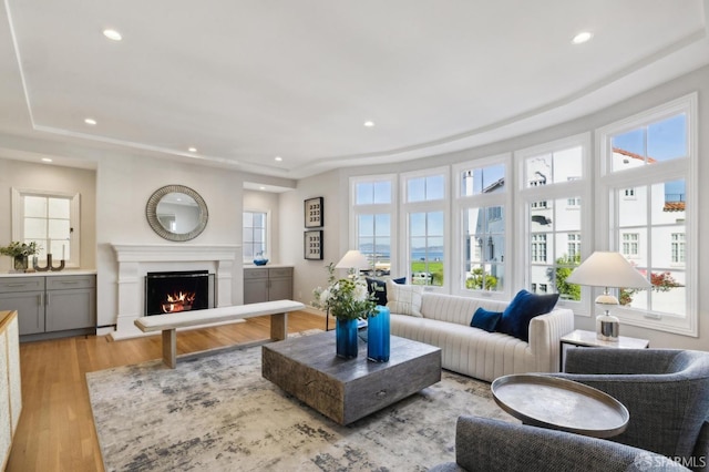 living room with light hardwood / wood-style flooring