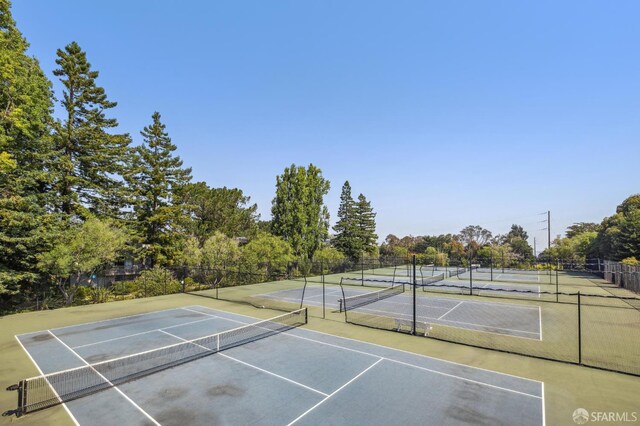 3256 Shelter Creek Ln, San Bruno, CA 94066 - photo 49