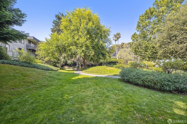3256 Shelter Creek Ln, San Bruno, CA 94066 - photo 44
