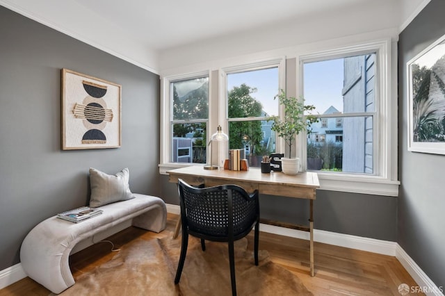 office space featuring wood-type flooring