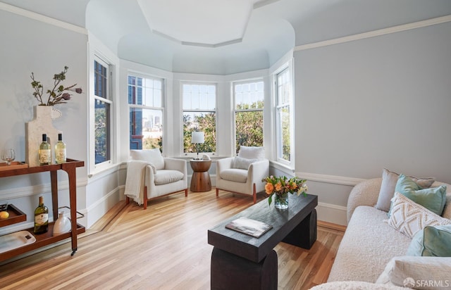 living room with light hardwood / wood-style flooring