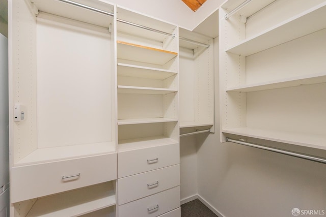 view of spacious closet