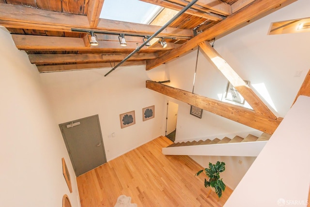 basement featuring wood-type flooring