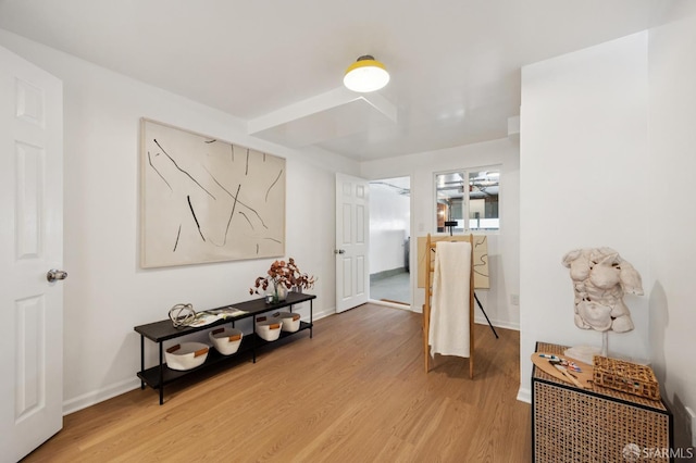 67 Rome St, San Francisco, CA 94112 - hall featuring light wood-style flooring and baseboards