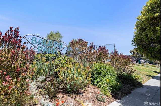 67 Rome St, San Francisco, CA 94112 - view of yard