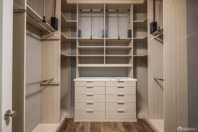 spacious closet featuring dark wood-style flooring