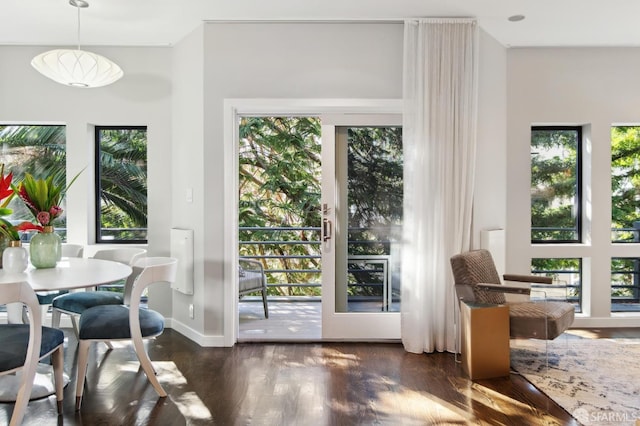 entryway with dark wood-style floors, a healthy amount of sunlight, and baseboards