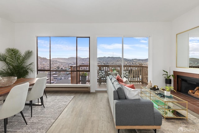 living room with a mountain view, a tile fireplace, and light wood-type flooring