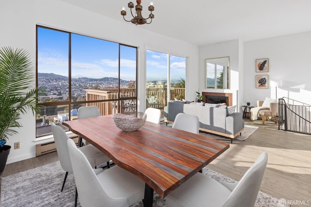 dining room with an inviting chandelier, a baseboard heating unit, a mountain view, and light wood-type flooring