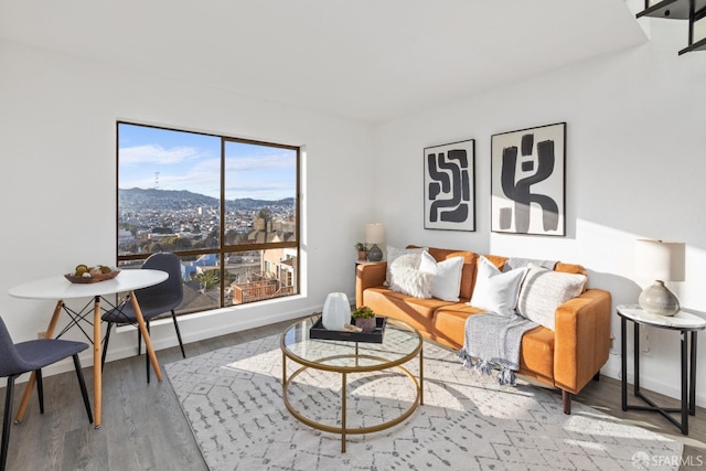 living room with wood-type flooring and a mountain view